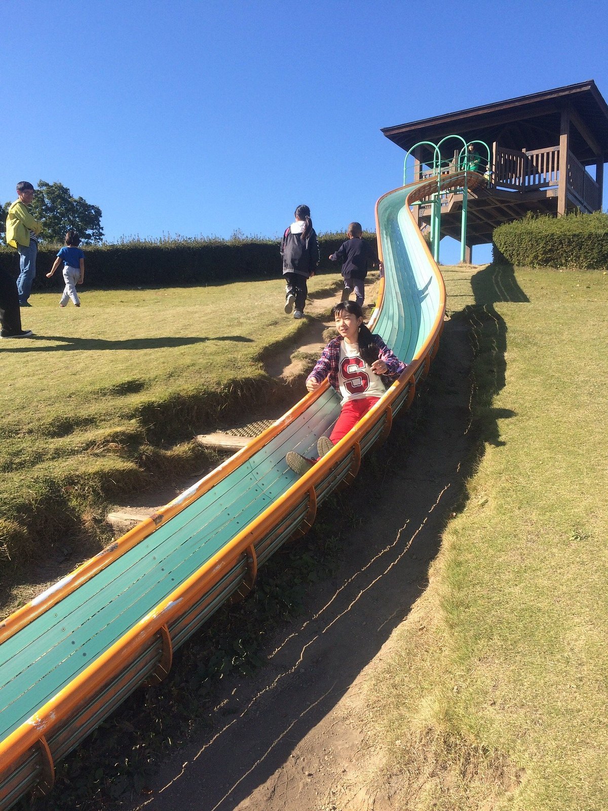 🌳 단풍 평원 종합공원(모미지다이라 소고 코엔) 이미지 7